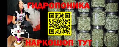 СК Кинель
