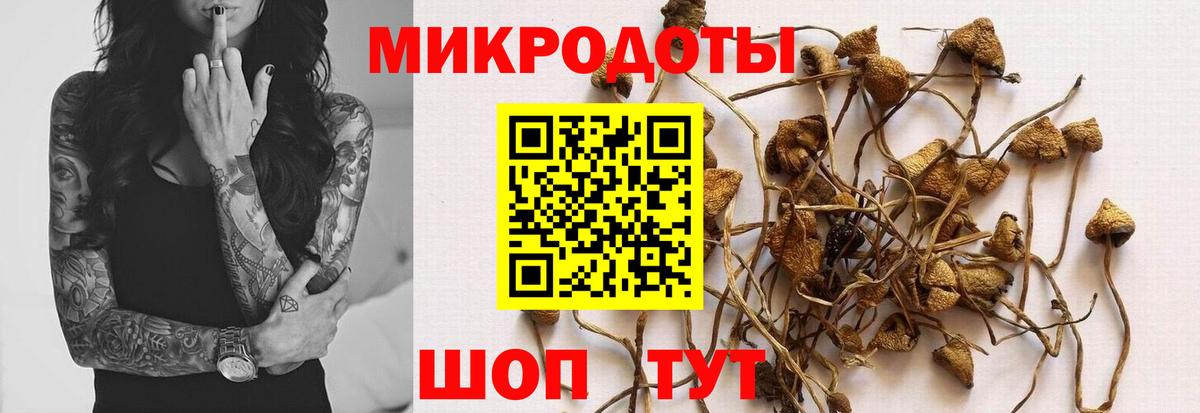 Псилоцибиновые грибы мухоморы  Вход с VPN  Химки 