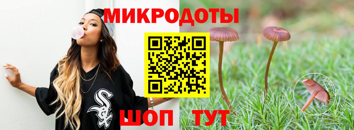 Галлюциногенные грибы Psilocybine cubensis Химки