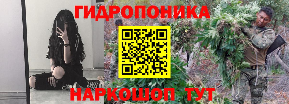 Канабис VHQ Химки